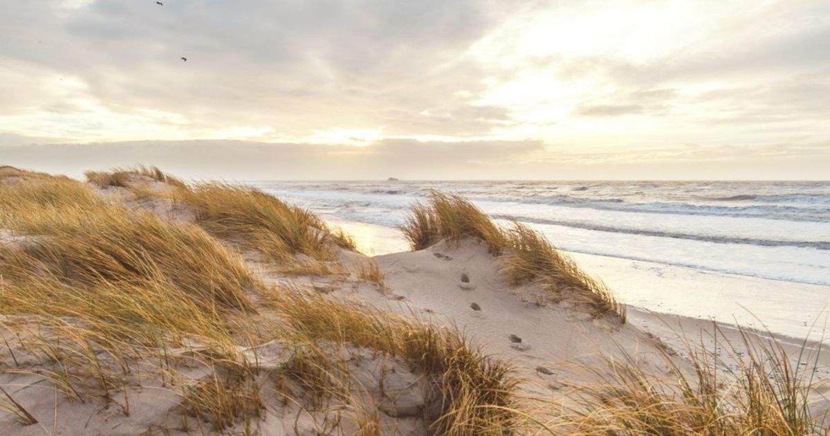 Wo zum Meer, um sich nicht zu langweilen? - Hotel UNITRAL