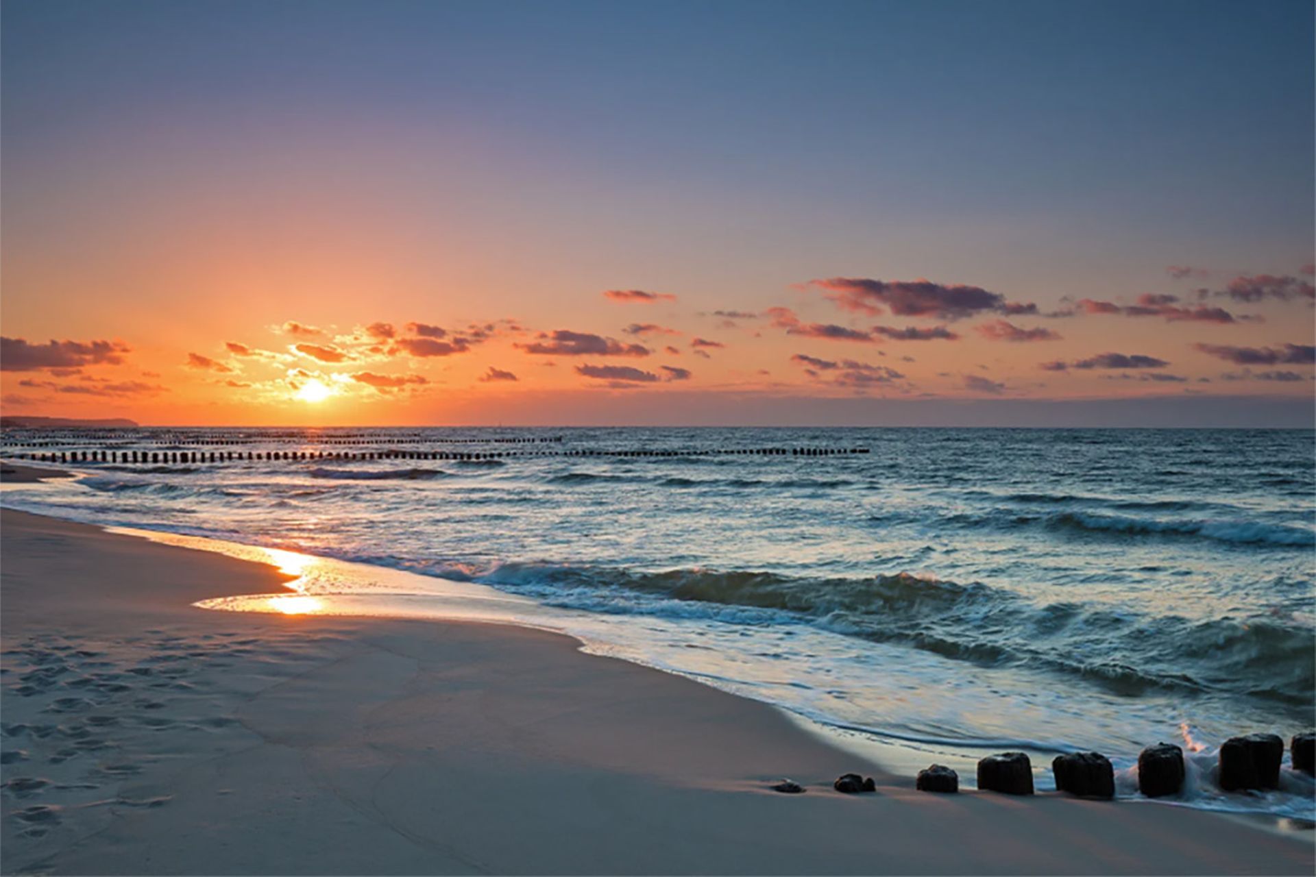 Souvenirs aus dem Meer — was lohnt es sich, von der Ostsee mitzubringen ...